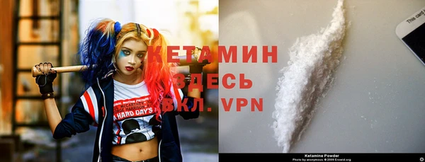 прущие грибы Новозыбков