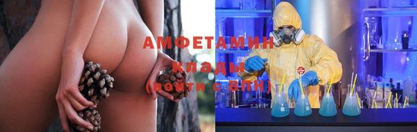 сатива Нефтекумск