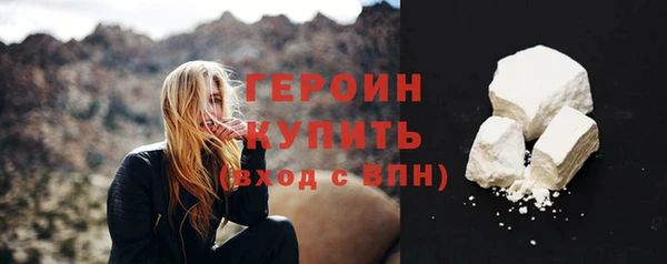прущие грибы Новозыбков