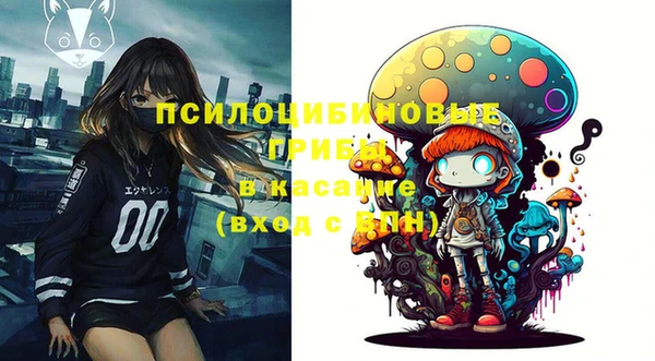 сатива Нефтекумск