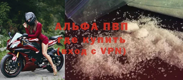 сатива Нефтекумск