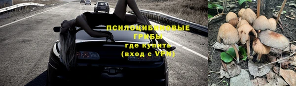 прущая мука Новодвинск